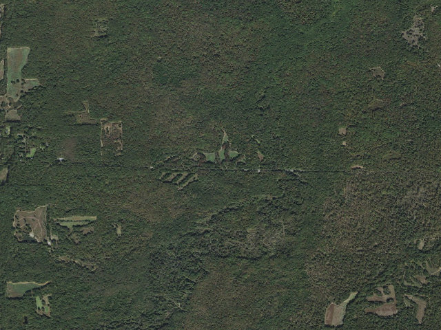 Aerial image of Wattensaw Camping Area #22