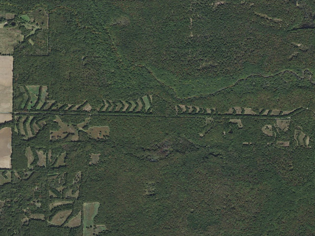 Aerial image of Wattensaw Camping Area #4