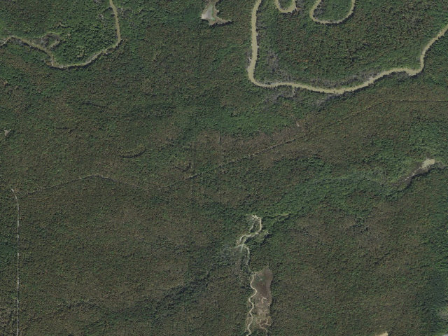 Aerial image of Wattensaw Camping Area #5