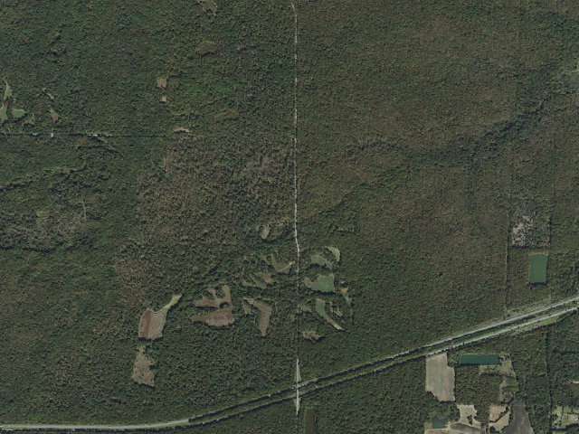 Aerial image of Wattensaw Camping Area #7