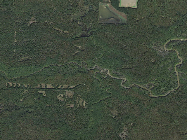Aerial image of Wattensaw Camping Area #8