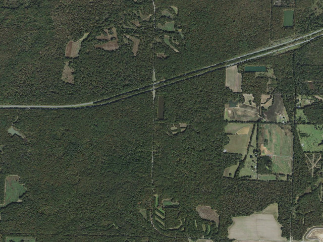 Aerial image of Wattensaw Camping Area #9