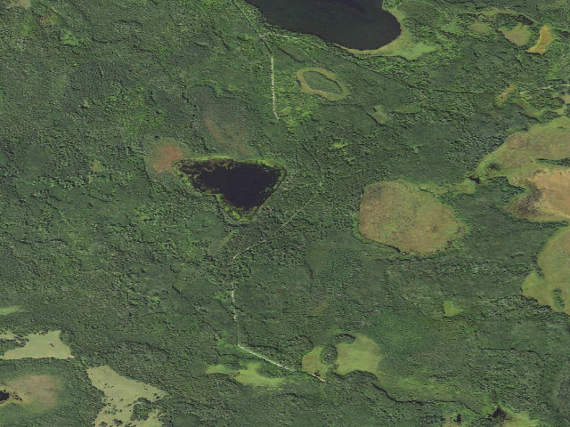 Aerial image of Webster Lake