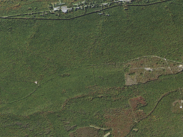 Aerial image of Weiser State Forest roadside campsite G002