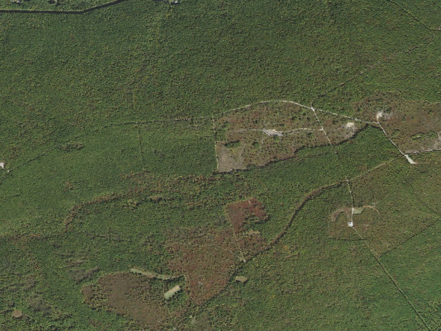 Aerial image of Weiser State Forest roadside campsite G003