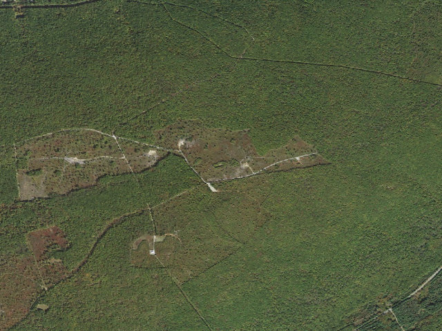 Aerial image of Weiser State Forest roadside campsite G004