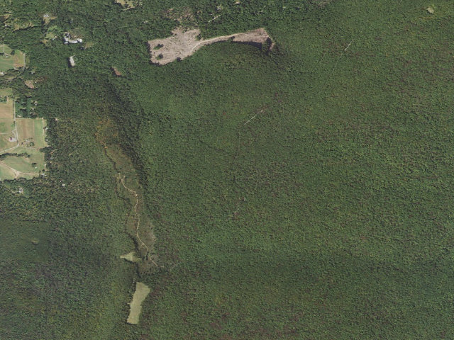 Aerial image of Weiser State Forest roadside campsite H001