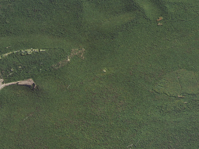 Aerial image of Weiser State Forest roadside campsite H002