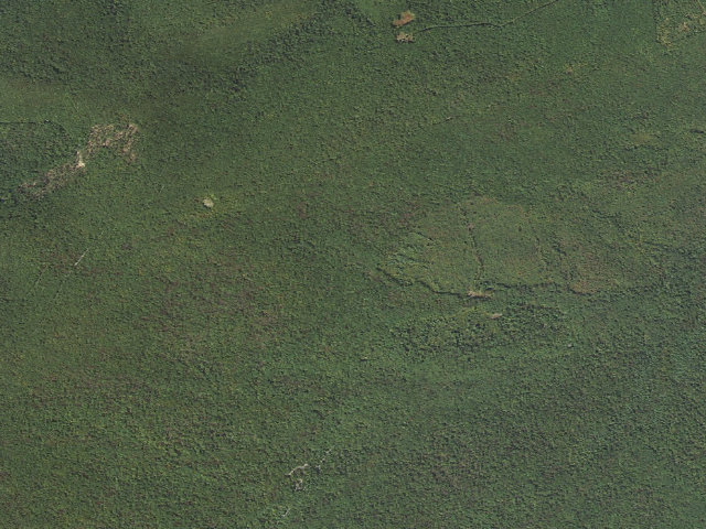 Aerial image of Weiser State Forest roadside campsite H003