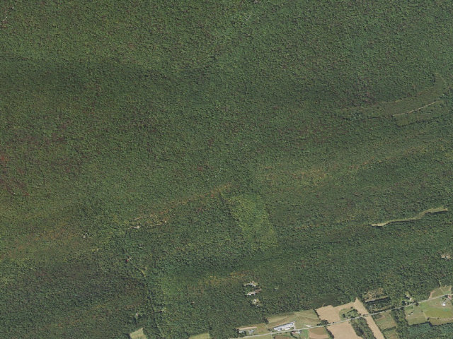 Aerial image of Weiser State Forest roadside campsite H004