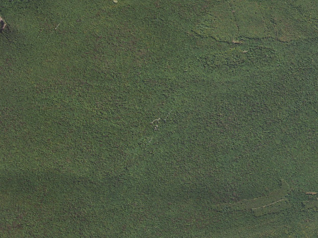 Aerial image of Weiser State Forest roadside campsite HE 1