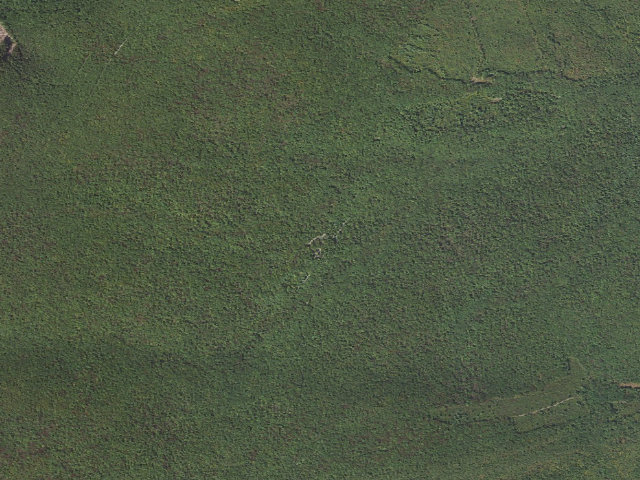 Aerial image of Weiser State Forest roadside campsite HE 2