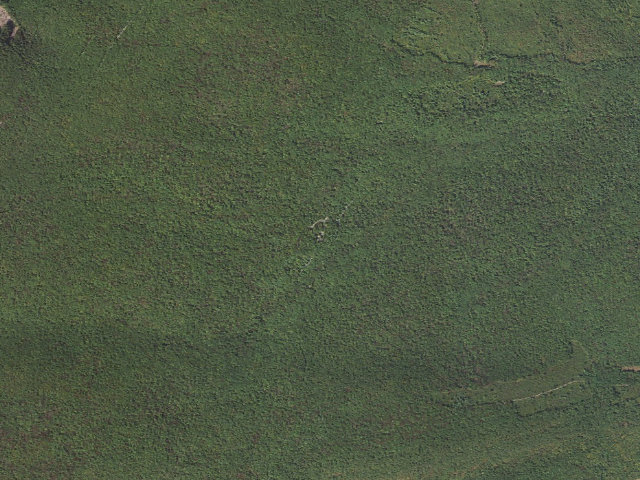 Aerial image of Weiser State Forest roadside campsite HE 3