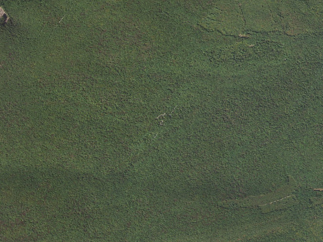 Aerial image of Weiser State Forest roadside campsite HE 4