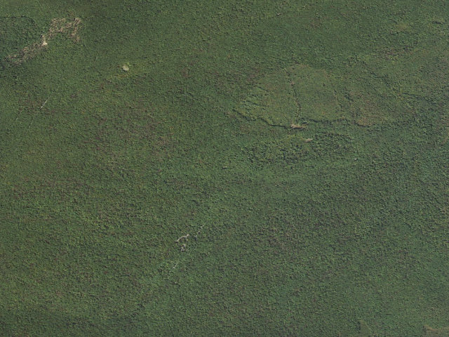 Aerial image of Weiser State Forest roadside campsite HG001