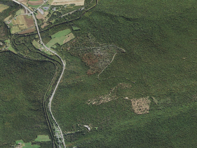 Aerial image of Weiser State Forest roadside campsite PC001