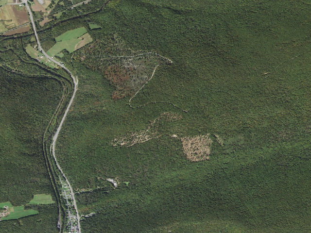 Aerial image of Weiser State Forest roadside campsite PC002