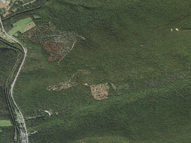 Aerial image of Weiser State Forest roadside campsite PC003