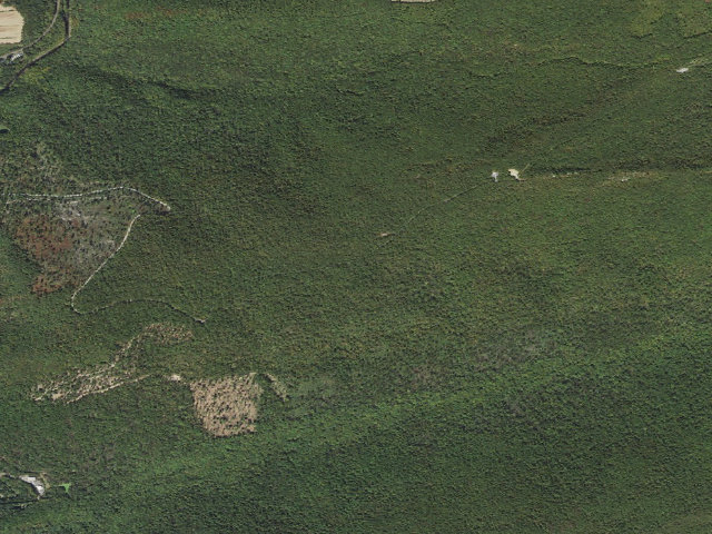 Aerial image of Weiser State Forest roadside campsite PC004