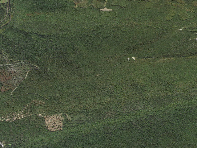 Aerial image of Weiser State Forest roadside campsite PCG001