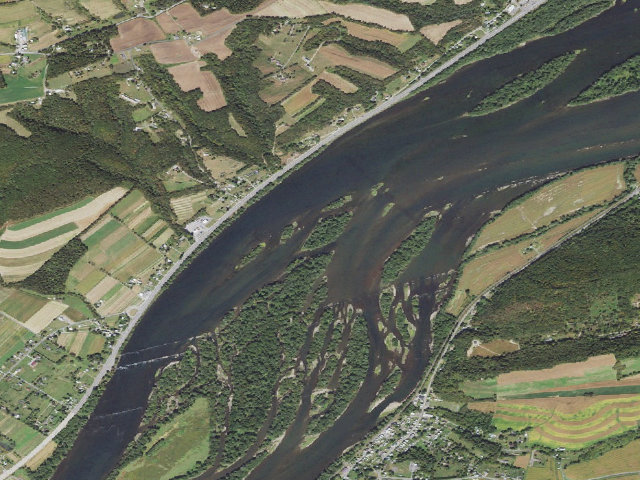 Aerial image of Weiser State Forest water-trail campsite 107A