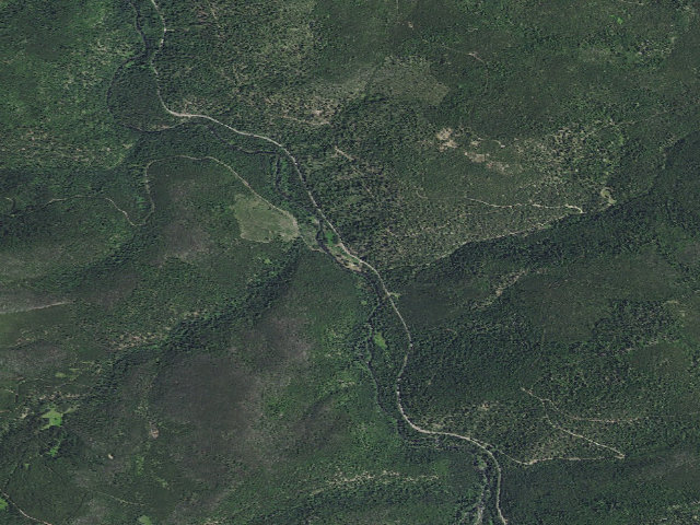 Aerial image of Welch Creek