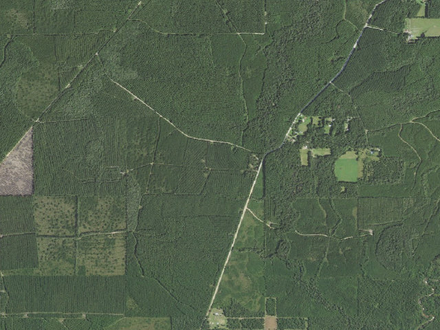 Aerial image of West Bay WMA camping area -- Spikes Camp Site