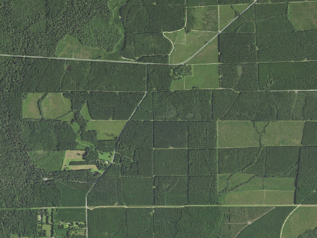 Aerial image of West Bay WMA camping area -- Wolf Bay Camp Site