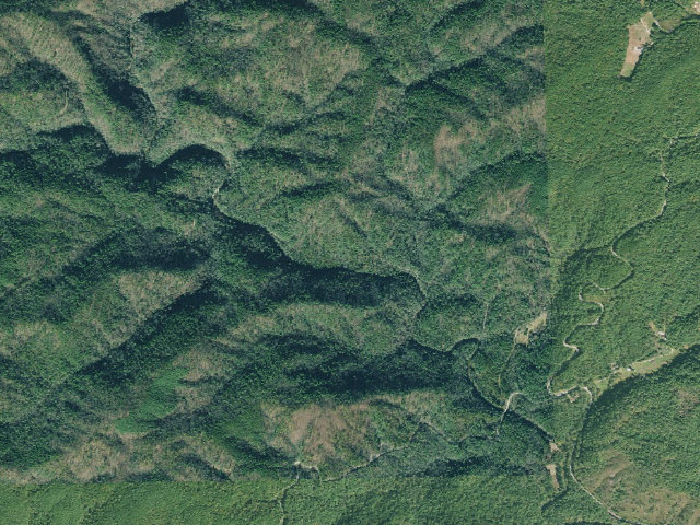 Aerial image of West Fork Campground
