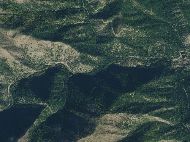 Aerial image of West Fork Fish A