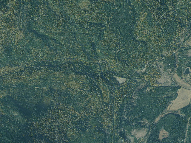 Aerial image of West Fork Yaak Campsite