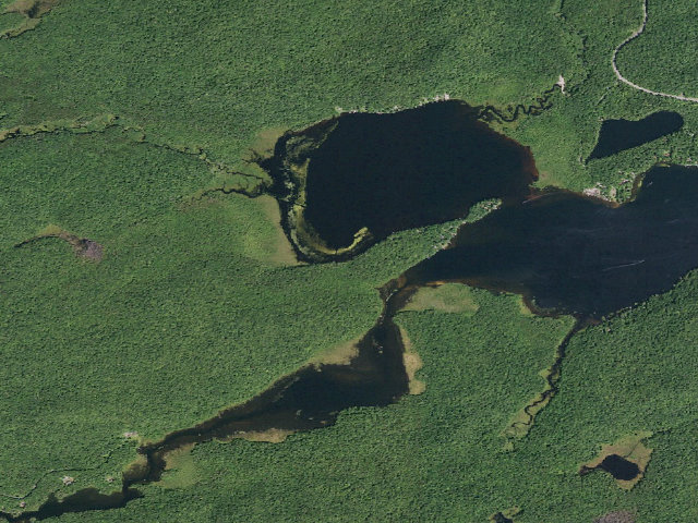 Aerial image of West Lake #1 (Ferris Lake Wild Forest)