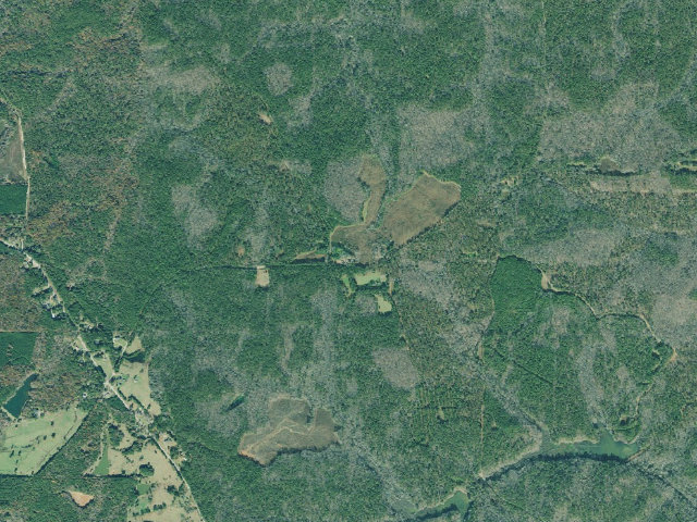 Aerial image of West Point WMA - Campground 1