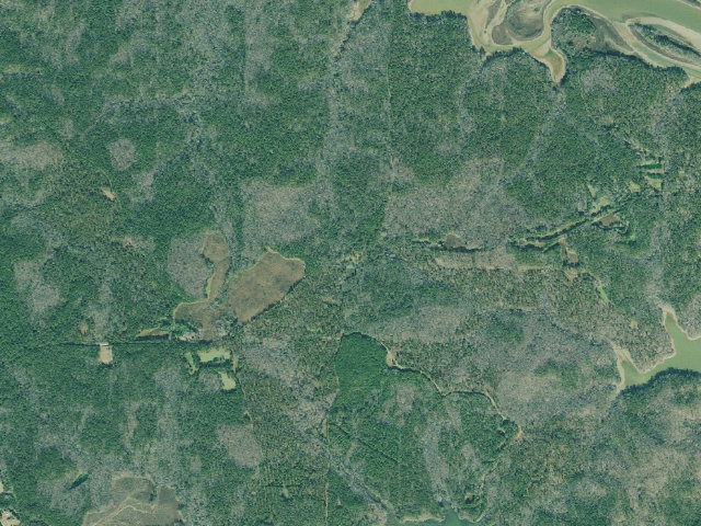 Aerial image of West Point WMA - Campground 2 (south)