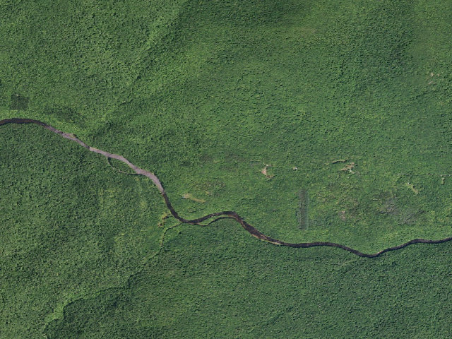 Aerial image of West River Road Campsite #1 (Silver Lake Wilderness)