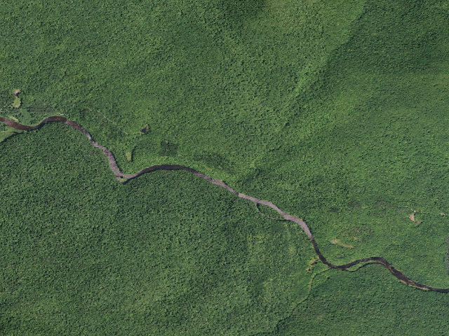 Aerial image of West River Road Campsite #3 (Silver Lake Wilderness)