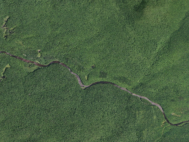 Aerial image of West River Road Campsite #4 (Silver Lake Wilderness)