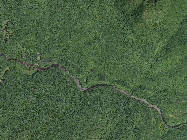 Aerial image of West River Road Campsite #5 (Silver Lake Wilderness)