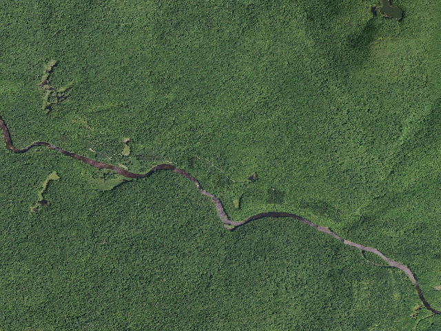 Aerial image of West River Road Campsite #6 (Silver Lake Wilderness)