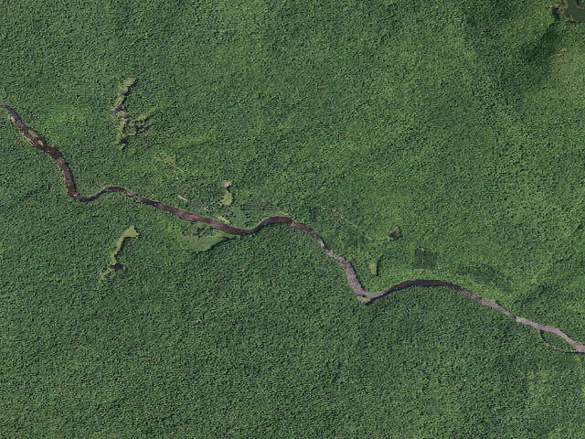 Aerial image of West River Road Campsite #7 (Silver Lake Wilderness)