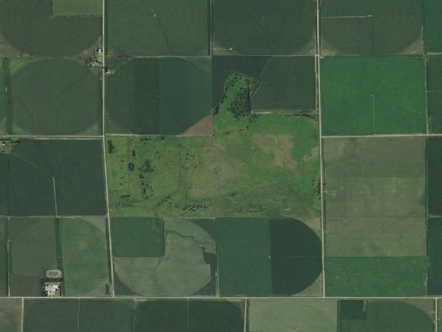 Aerial image of West Sacramento WMA