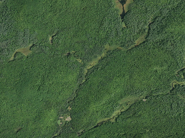 Aerial image of West Stony Creek Rd Campsite (Wilcox Lake Wild Forest)
