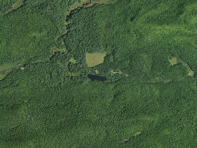 Aerial image of West Stony Creek Rd (Wilcox Lake Wild Forest)