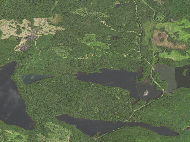 Aerial image of West Twin Lake Site 1