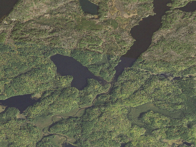 Aerial image of West Twin Lake Site 2