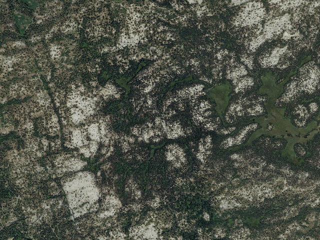 Aerial image of Western Big Meadow Road