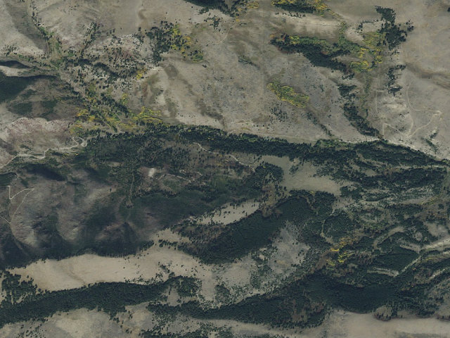 Aerial image of Westpine-02