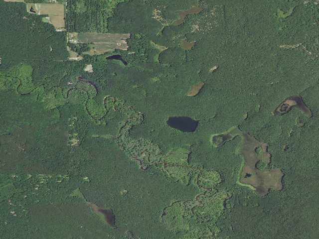 Aerial image of Whelan Lake Area Primitive Campground