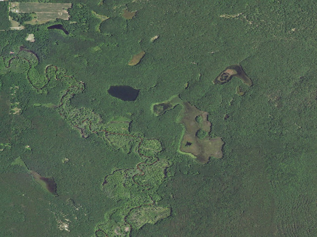 Aerial image of Whelan Lake Backcountry Campsites
