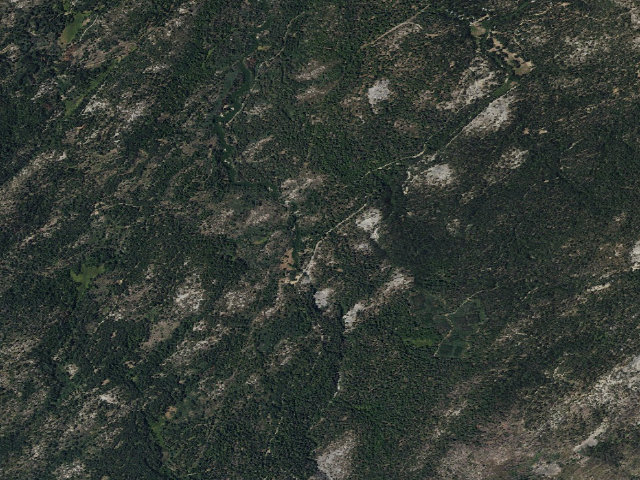 Aerial image of Whiskers